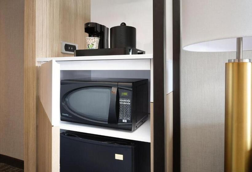 إستوديو قياسى, Springhill Suites Minneapolisst. Paul Airport/mall Of America