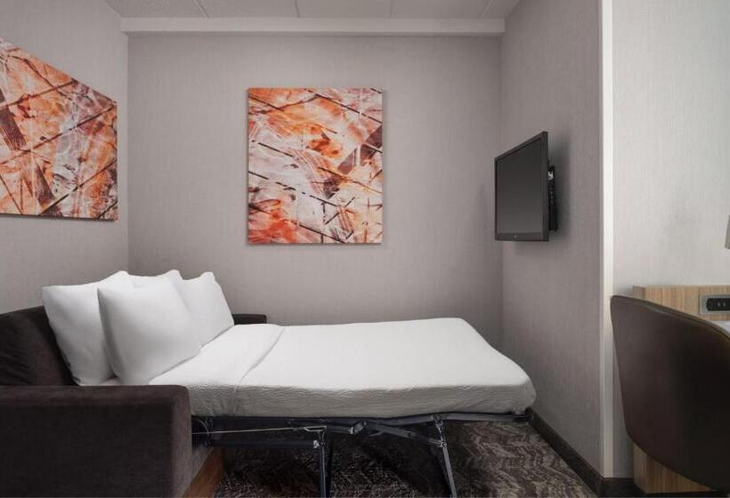 إستوديو قياسى, Springhill Suites Minneapolisst. Paul Airport/mall Of America