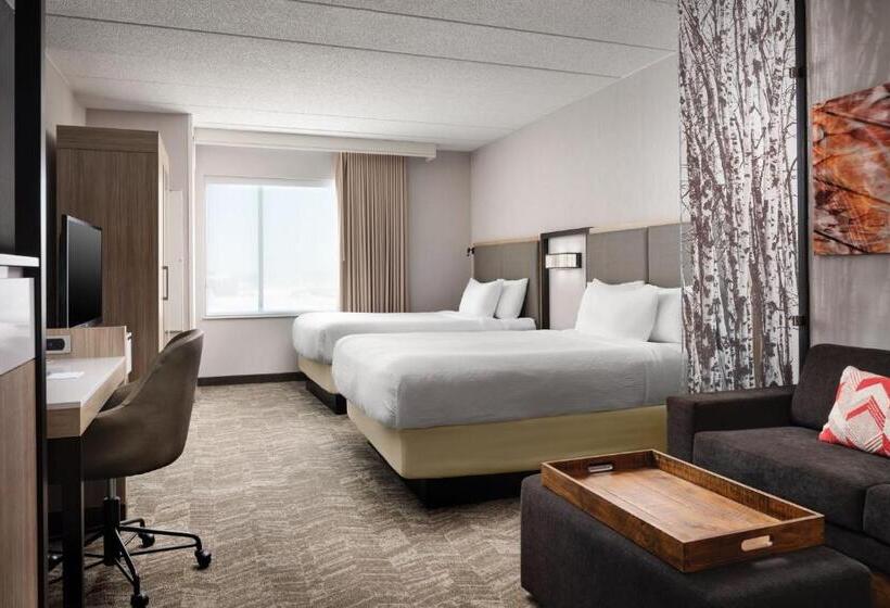 إستوديو قياسى, Springhill Suites Minneapolisst. Paul Airport/mall Of America