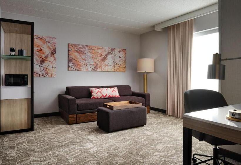 Люкс, Springhill Suites Minneapolisst. Paul Airport/mall Of America