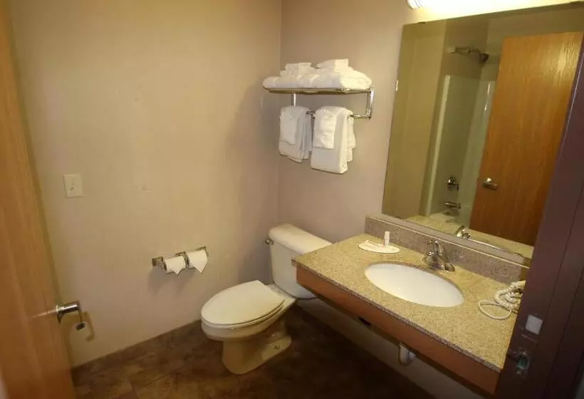 ビジネスルーム, Darlington Inn