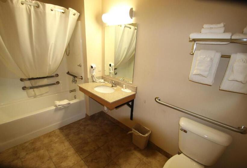 غرفة قياسية سرير كينج, Darlington Inn