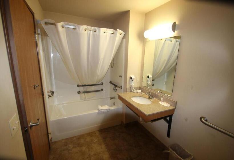 스탠다드 룸 킹사이즈 침대, Darlington Inn