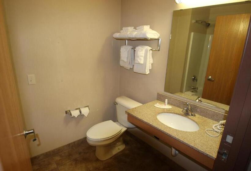 جناح سرير كينج, Darlington Inn