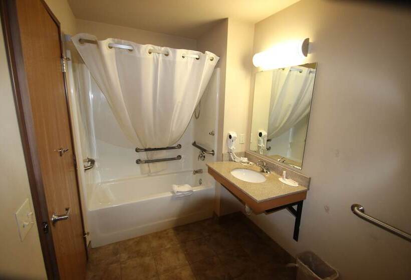 غرفة بيزنس, Darlington Inn