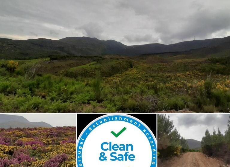 标准间, Pensão David, B&b