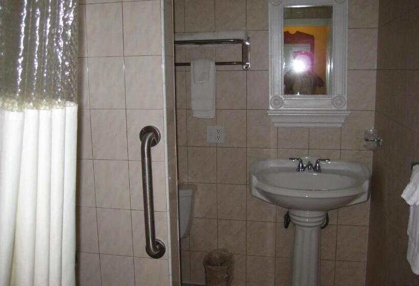 스탠다드 룸 킹사이즈 침대, Stardust Motel