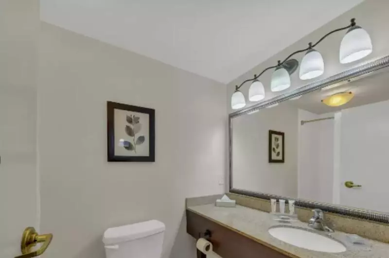 キングサイドベッドのスタンダードワンルーム, Country Inn & Suites By Radisson, Braselton, Ga
