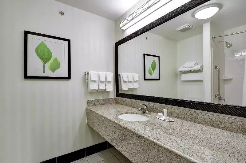 Standard-studio King-vuode, Fairfield Inn And Suites By Marriott San Antonio Boerne