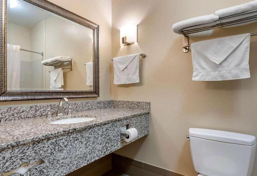 غرفة قياسية سرير كينج, Comfort Inn Hebronlowell Area