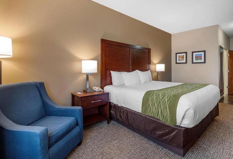 חדר סטנדרט עם מיטת קינג, Comfort Inn Hebronlowell Area