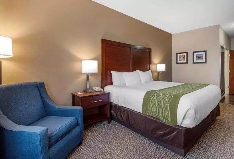 キングサイズベッドのスタンダードルーム, Comfort Inn Hebronlowell Area