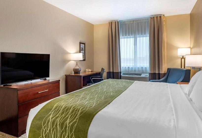 스탠다드 룸 킹사이즈 침대, Comfort Inn Hebronlowell Area