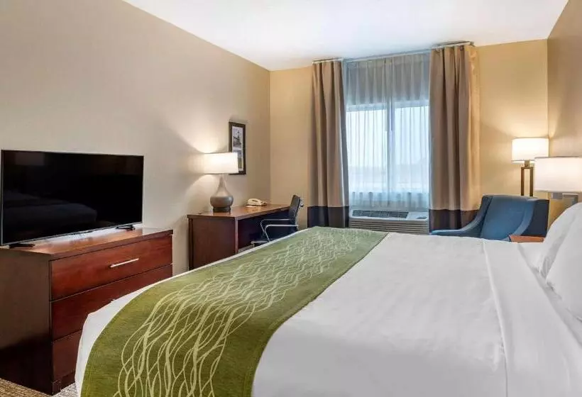 キングサイズベッドのスタンダードルーム, Comfort Inn Hebronlowell Area