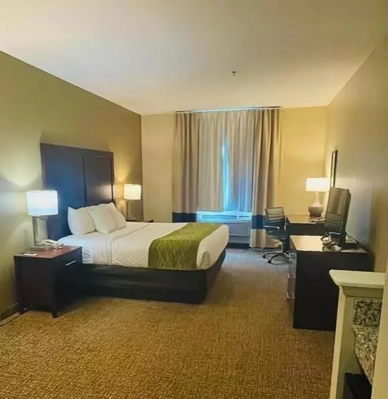 身障者適用キングサイズベッドルーム, Comfort Inn Hebronlowell Area