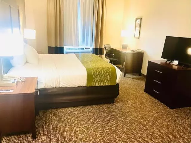 身障者適用キングサイズベッドルーム, Comfort Inn Hebronlowell Area