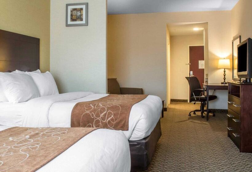 Люкс Адаптированный для Инвалидов, Cicero Grand