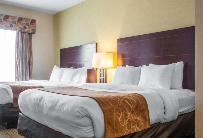 Люкс, Cicero Grand