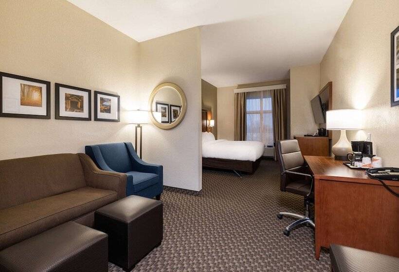 Люкс, Comfort Suites Troyi75