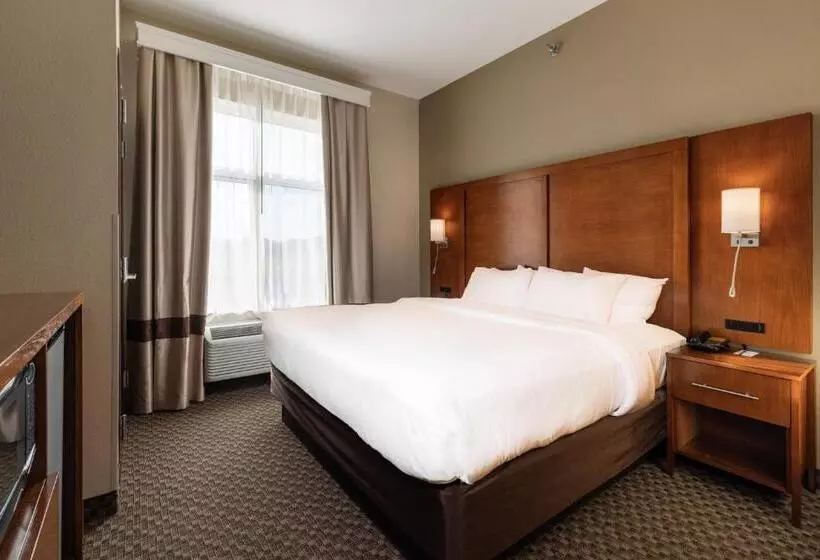 Sviitti King-vuode, Comfort Suites Troyi75