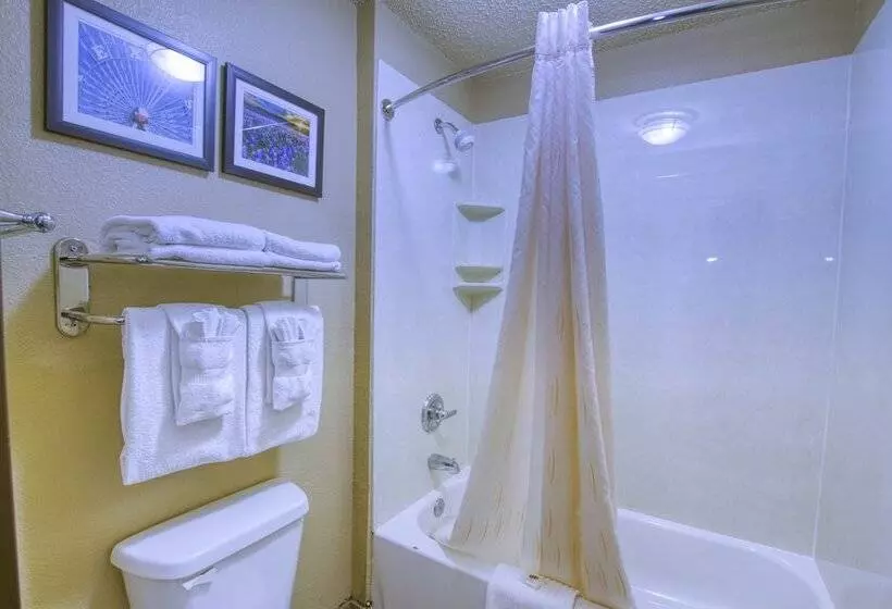 スイート, Comfort Suites Waco North  Near University Area