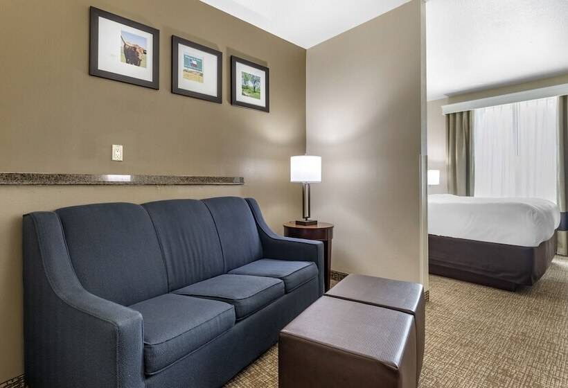 스위트, Comfort Suites Waco North  Near University Area