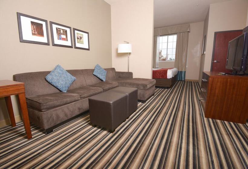 套房, Comfort Suites Waco North  Near University Area