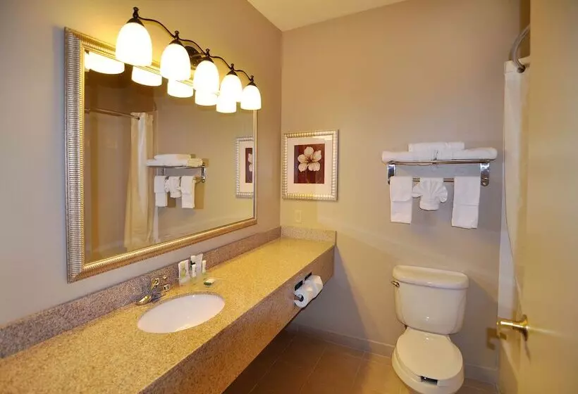 スイート, Country Inn & Suites By Radisson, Conway, Ar