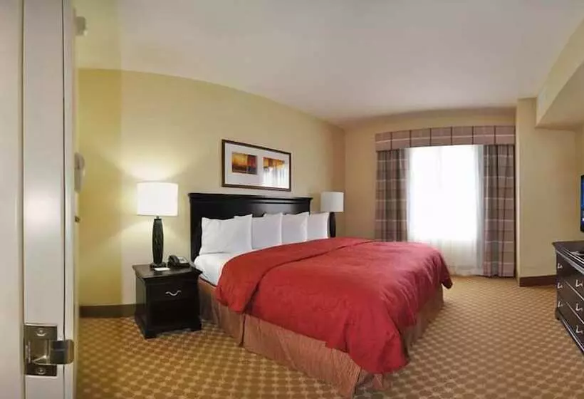 ダブルベッドのスタンダードスタジオ, Country Inn & Suites By Radisson, Conway, Ar