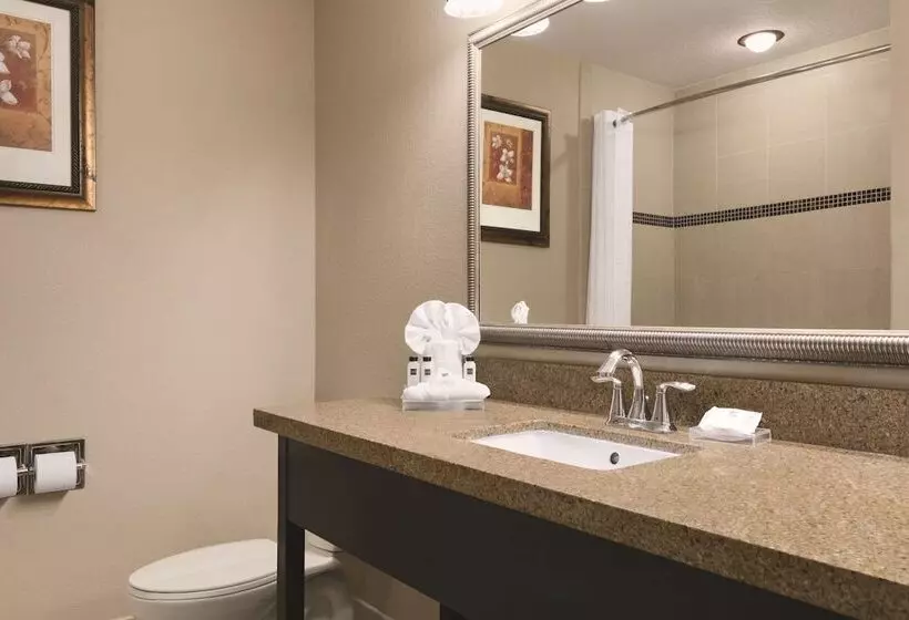 スイート, Country Inn & Suites By Radisson, Tampa Airport North, Fl