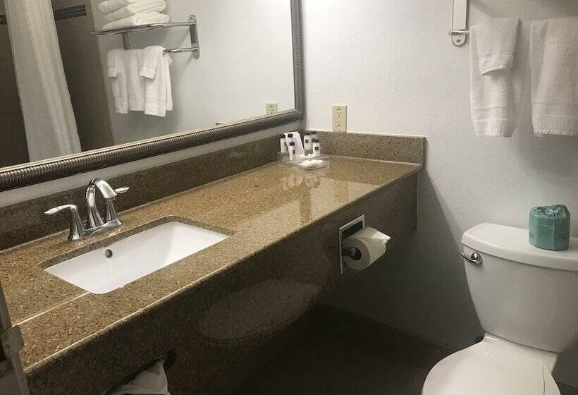 Люкс, Country Inn & Suites By Radisson, Tampa Airport North, Fl