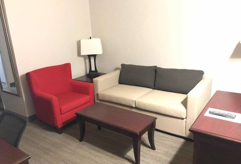 Люкс, Country Inn & Suites By Radisson, Tampa Airport North, Fl