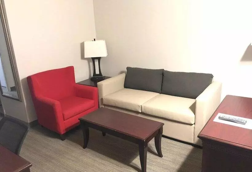 スイート, Country Inn & Suites By Radisson, Tampa Airport North, Fl