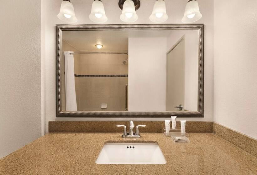 Люкс, Country Inn & Suites By Radisson, Tampa Airport North, Fl