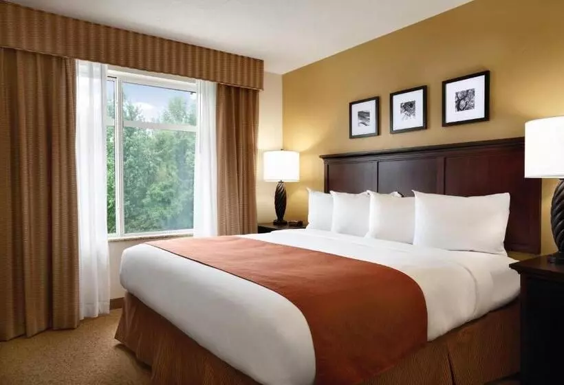 スタンダードルーム, Country Inn & Suites By Radisson, Tampa Airport North, Fl