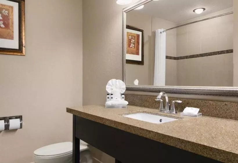 スタンダードルーム, Country Inn & Suites By Radisson, Tampa Airport North, Fl