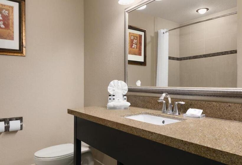 Люкс, Country Inn & Suites By Radisson, Tampa Airport North, Fl