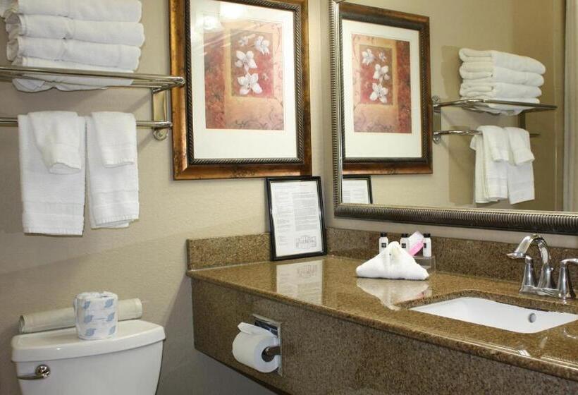 适合残疾人使用的标准间, Country Inn & Suites By Radisson, Tampa Airport North, Fl