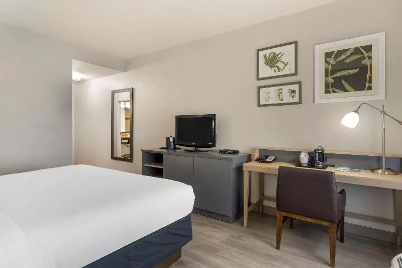 身障者適用スタンダードルーム, Country Inn & Suites By Radisson, Tampa Airport North, Fl