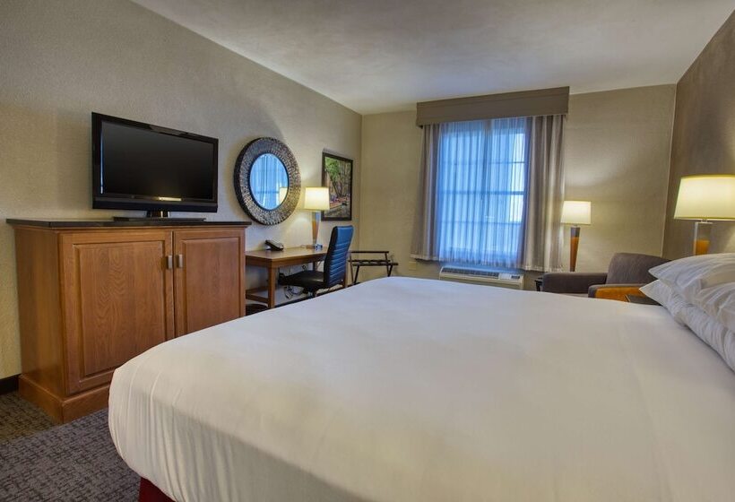 豪华房间, Drury Inn & Suites San Antonio Near La Cantera