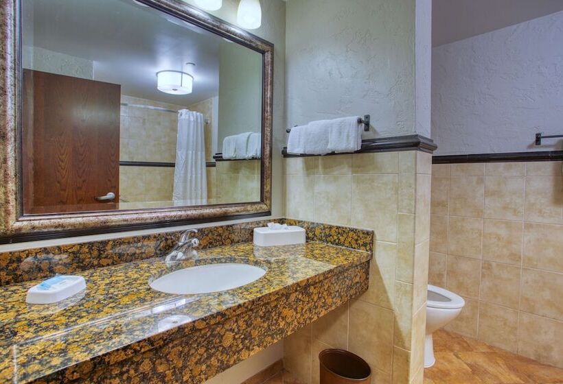 חדר דלוקס עם מרפסת טרסה, Drury Inn & Suites San Antonio Near La Cantera