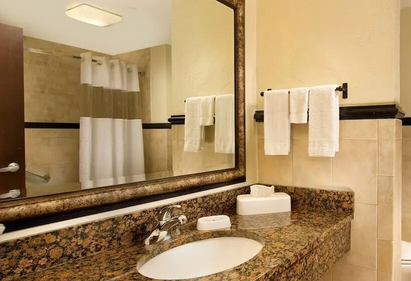 テラス付きデラックスルーム, Drury Inn & Suites San Antonio Near La Cantera