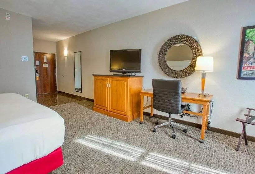 テラス付きデラックスルーム, Drury Inn & Suites San Antonio Near La Cantera