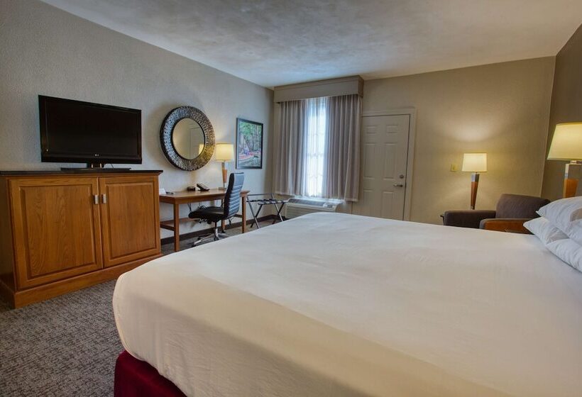 חדר דלוקס עם מרפסת טרסה, Drury Inn & Suites San Antonio Near La Cantera