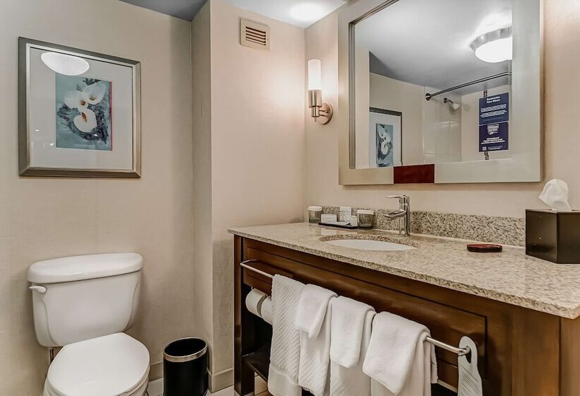 Люкс, Embassy Suites Atlanta Kennesaw Town Center