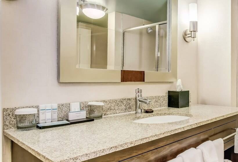 Люкс, Embassy Suites Atlanta   Kennesaw Town Center