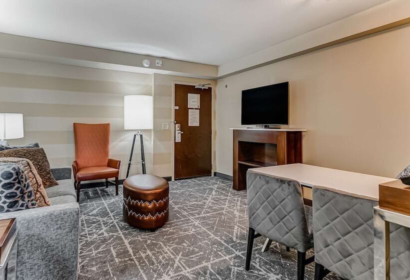 Люкс, Embassy Suites Atlanta Kennesaw Town Center