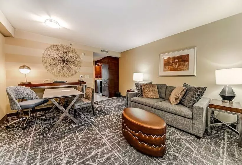 スイート, Embassy Suites Atlanta   Kennesaw Town Center