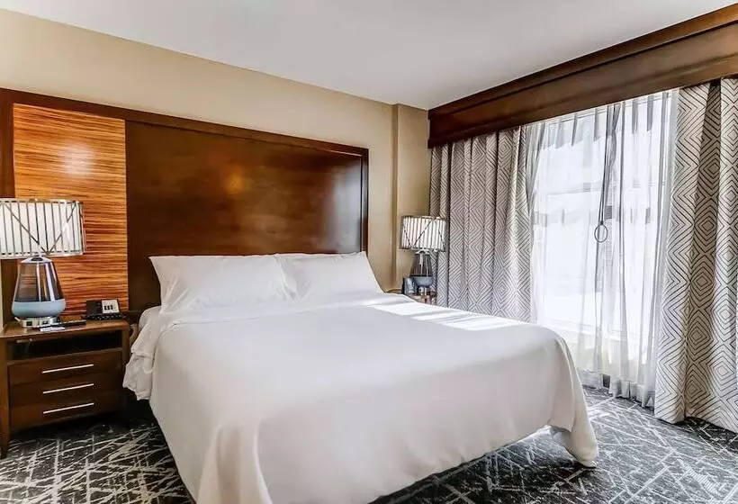 スイート, Embassy Suites Atlanta   Kennesaw Town Center