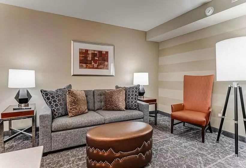 スイート, Embassy Suites Atlanta   Kennesaw Town Center